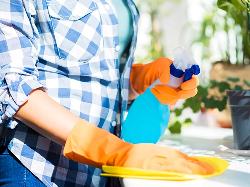 Iris Cleaning Services