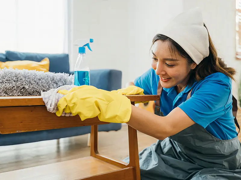 Iris Cleaning Services