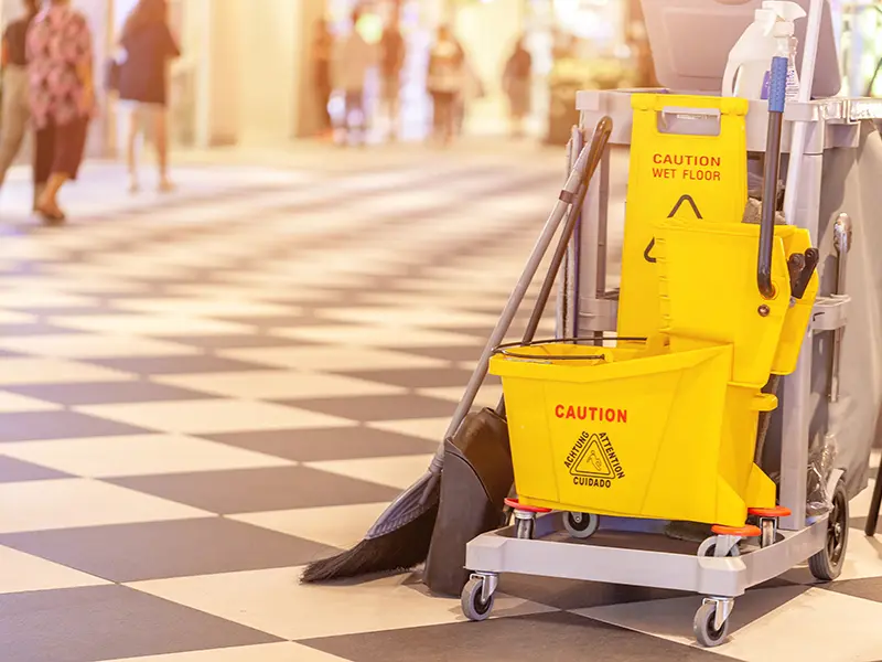 Iris Cleaning Services