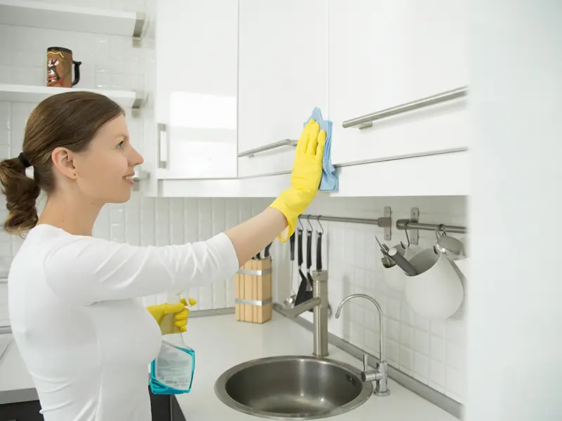 Iris Cleaning Services